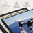 " Jumping Couple Orcas Wall Art "-705730283