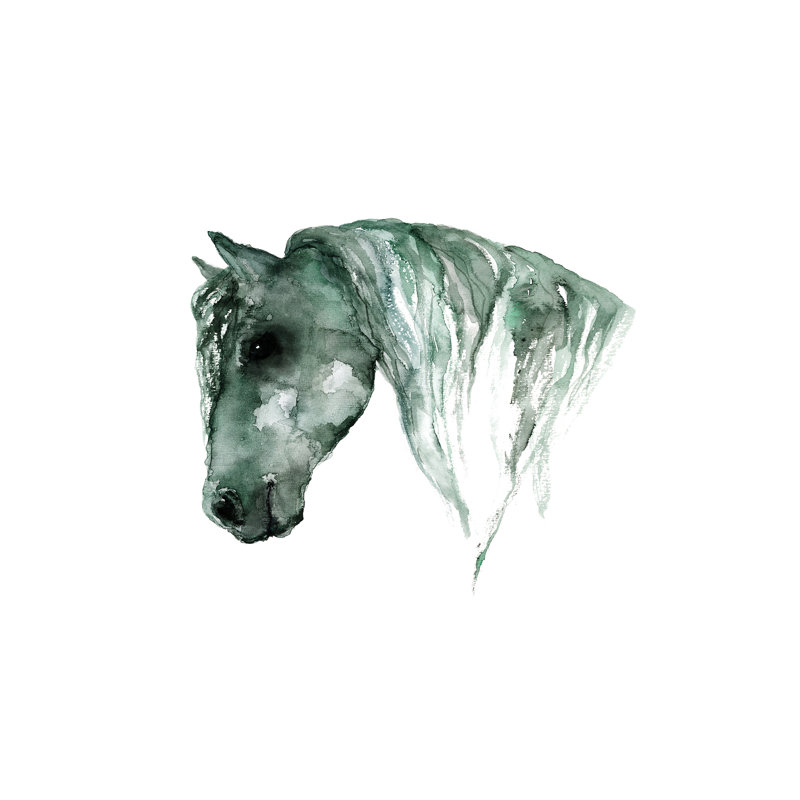 Art du cheval, Toile tendue, H 8 po x l 12 po x P 0,75 po