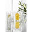 Renmore Highball Glass