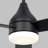 Ceiling Fan with LED Lights-220343687-211481074