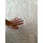 Wilton Area Rug-1811954791
