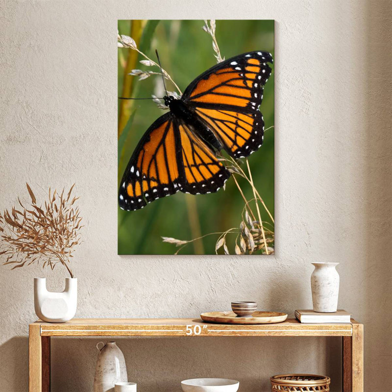 Brampt Monarch Butterfly Up Close, 39" H x 26" W