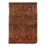 Mahiya Cotton Oriental Area Rug in Rust