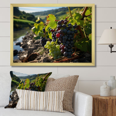 " Scenic Vineyard Reflections "