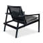 Modern Brazilian Lounge Chair-1046896067