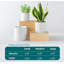 Ceramic Pot Planter-1467075557