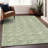 Premium Machine Washable Prisco Green Rug-913056784