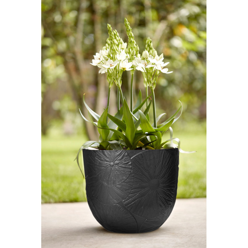 Plant Pot, 31.4 x 38 x 38, Onyx Black