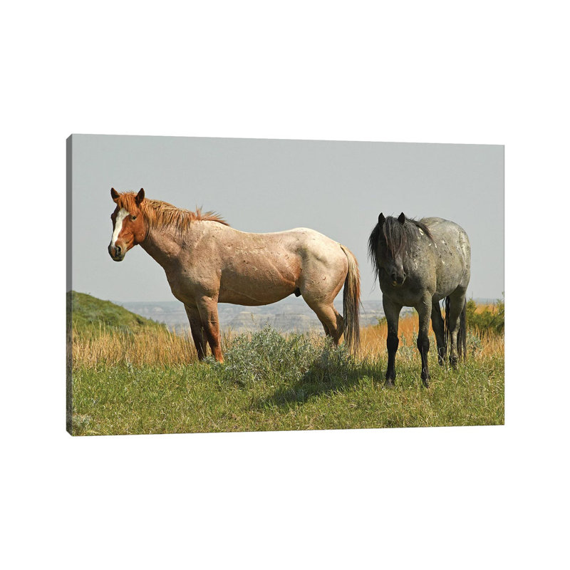 Wild Horses On The Ridge by Brian Wolf - Wrapped Canvas Gallery-Wrapped Canvas Giclée, 20.32cm H x 30.48cm W