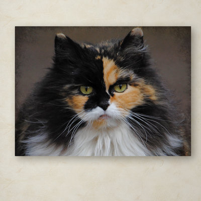 «Calico Cat Portrait» de Vidur, impression sur toile tendue
