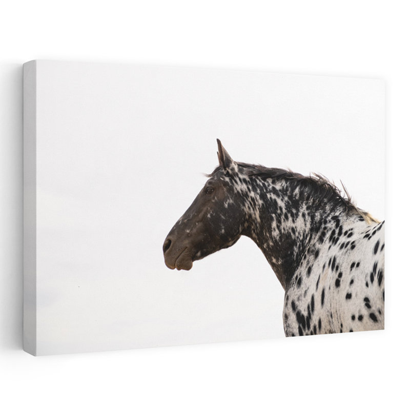 Art contemporain contemporain, paysage de cheval abstrait, H 24 po x l 36 po