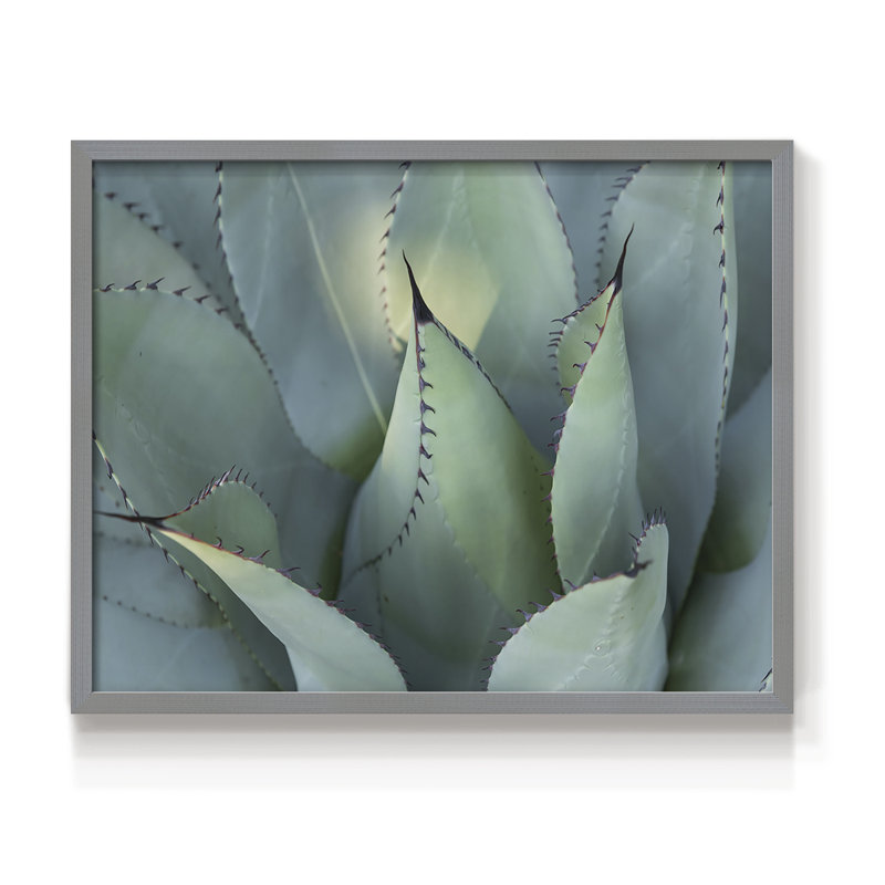 Blue Agave I -Framed Print - Restickable