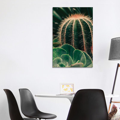 Cactus And Succulent - Wrapped Canvas Gallery-Wrapped Canvas Giclée