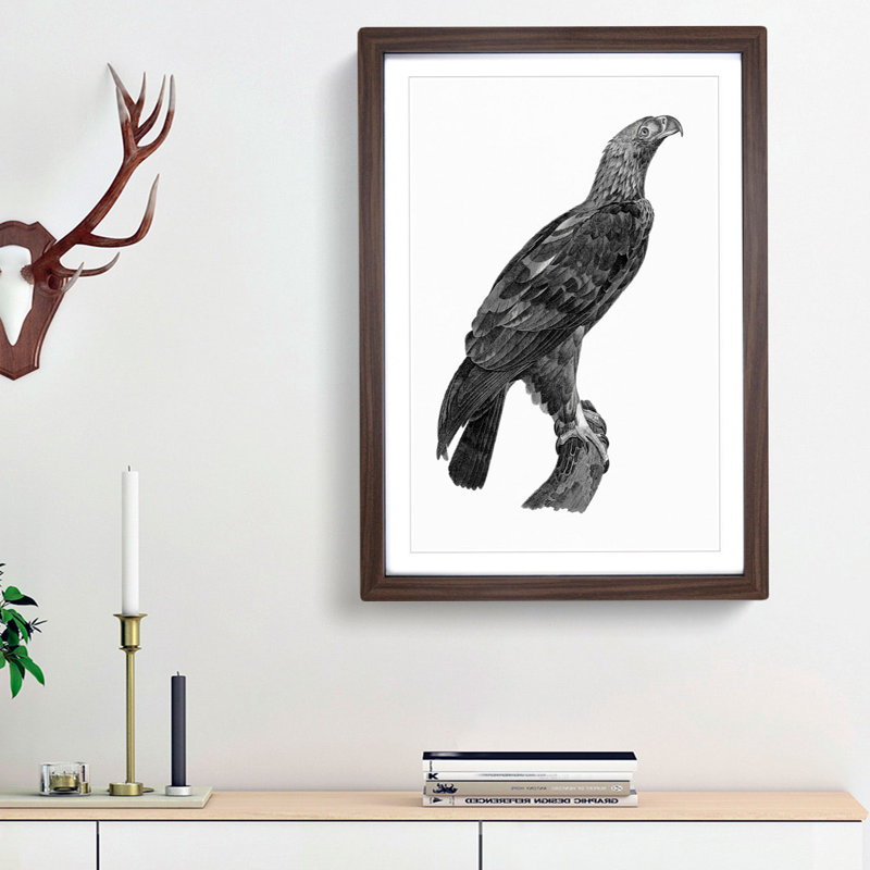 Eastern Imperial Eagle - Picture Frame Painting Print, Walnut Framed, 87cm H x 62cm W x 2cm D