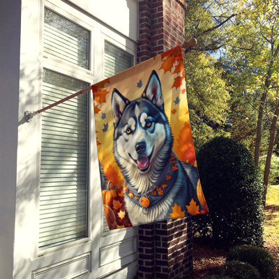 Double Sided 40'' H x 28'' W Polyester House Flag
