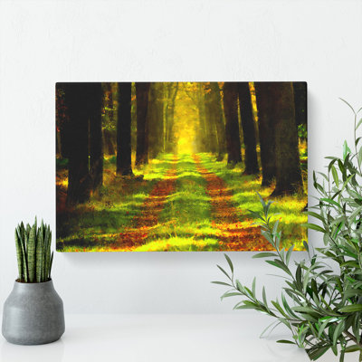 Green Forest Vol.7 - Wrapped Canvas