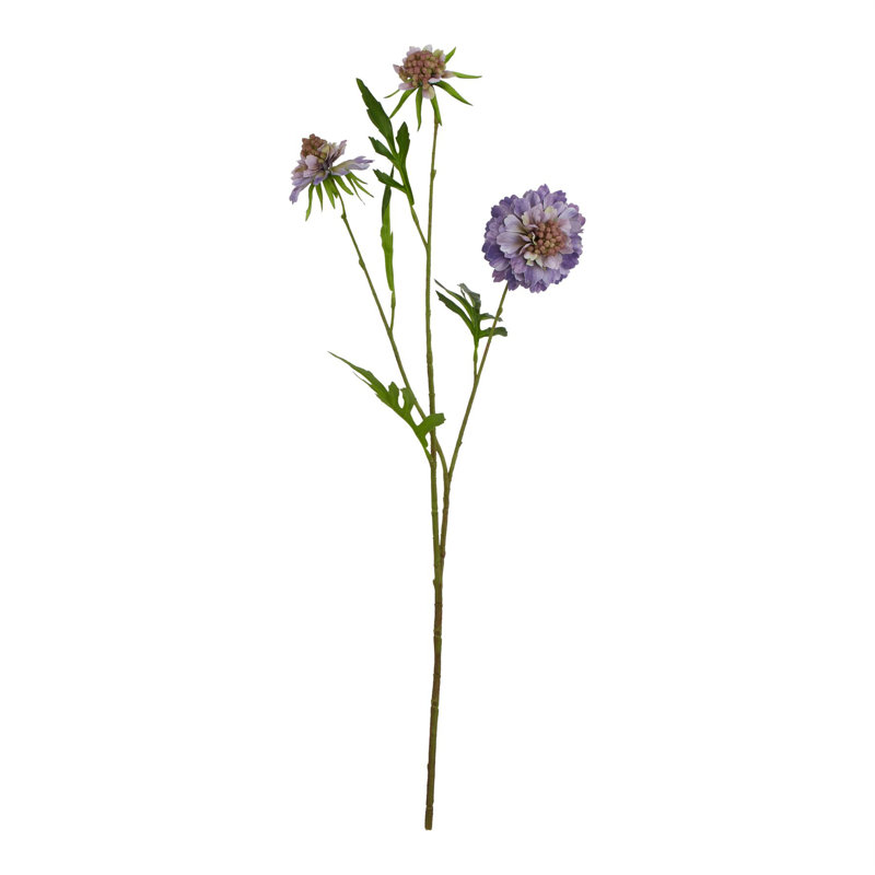 Arrangement, Purple