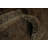 Agra Oriental Area Rug 8x10