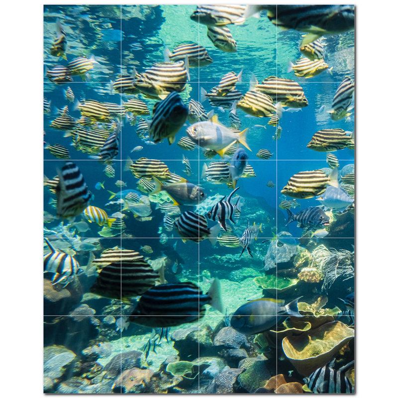 Corail photo 12 x 12