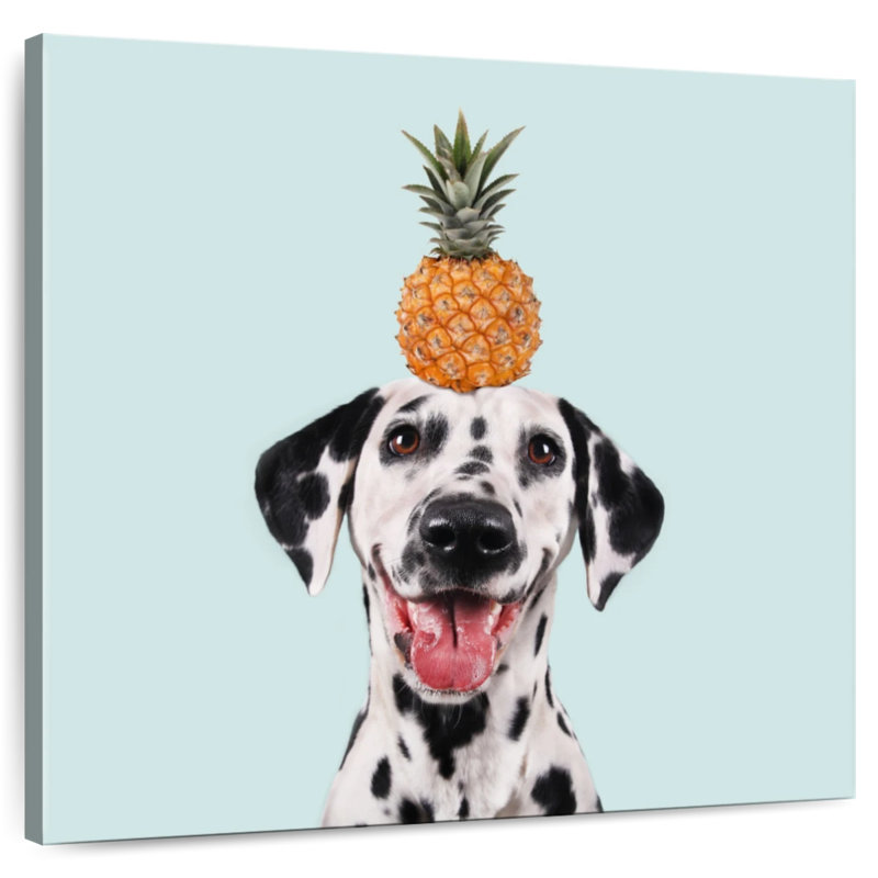 Brampt Pineapple On Dalmatian, 20" H x 20" W