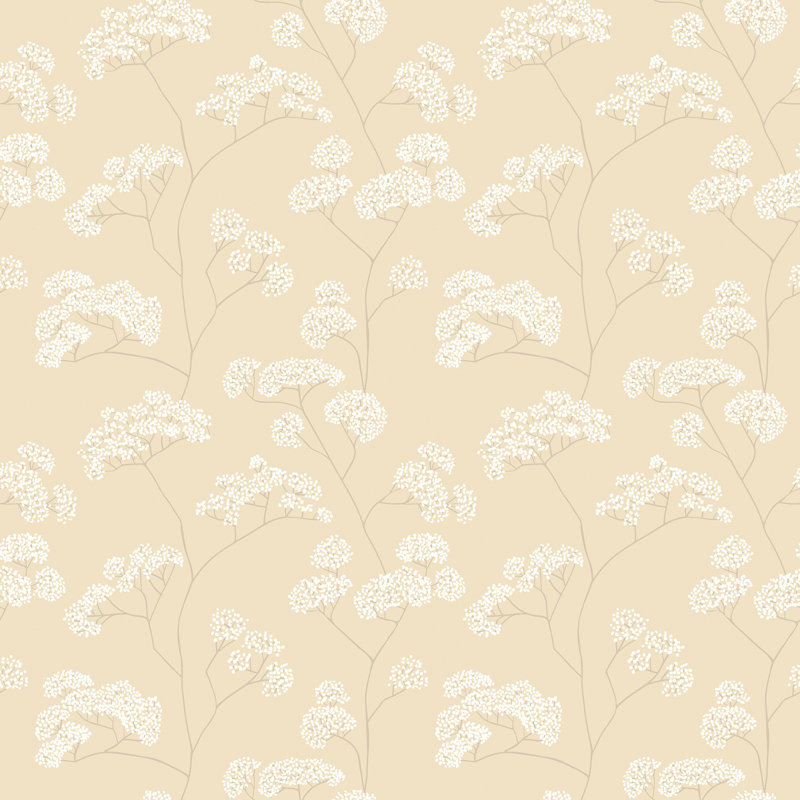 Elderflower Trail - Pear, Cream