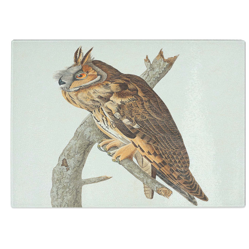 Glass Long-Eared Owl by John James Audubon Chopping Board, 39 cm W x 28.5 cm L