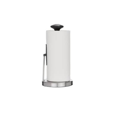 https://assets.wfcdn.com/im/31179025/resize-h380-w380%5Ecompr-r70/1360/136024594/Jiallo+Stainless+Steel+Free-Standing+Paper+Towel+Holder.jpg