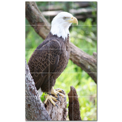 Bird Photo 12 in. x 12 in. Ceramic Decorative Mural
