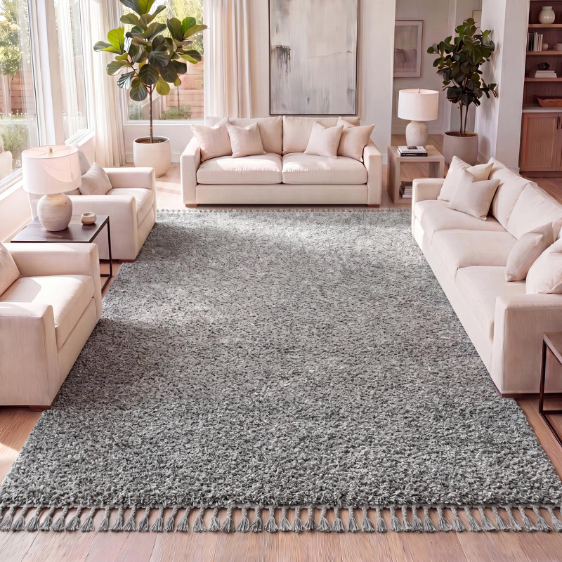 Felicdad Shag Plush Tassel Charcoal Rug, Rectangle 3'1" x 5'