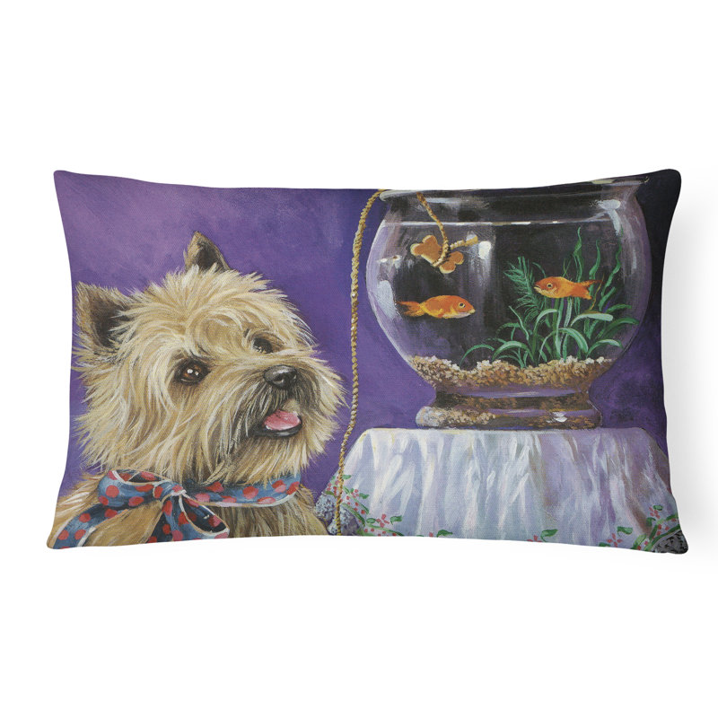 Outdoor Rectangular Pillow Cover & Insert