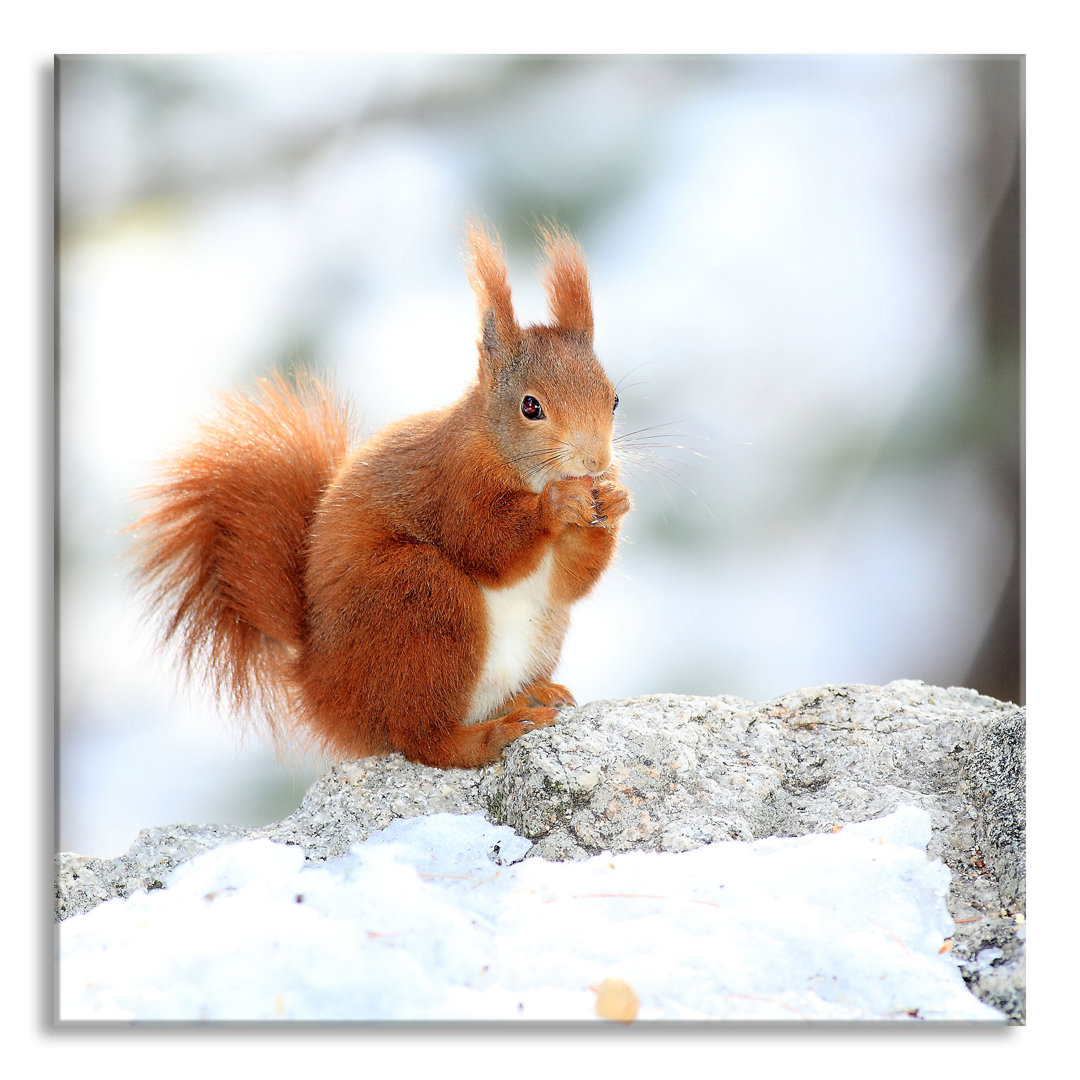 Glasbild Eichhörnchen im Schnee