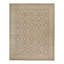 Hand Knotted Silk Area Rug in Brown