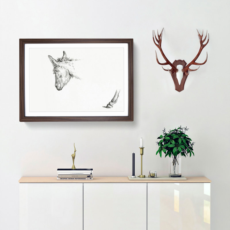 Sketch of a Donkey by Jean Bernard - Picture Frame Drawing Print, Walnut Framed, 36cm H x 48cm W x 2cm D