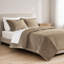 Ensemble de courtepointe en velours 3 pièces pour lit queen, mini, taupe-136159377-136159379