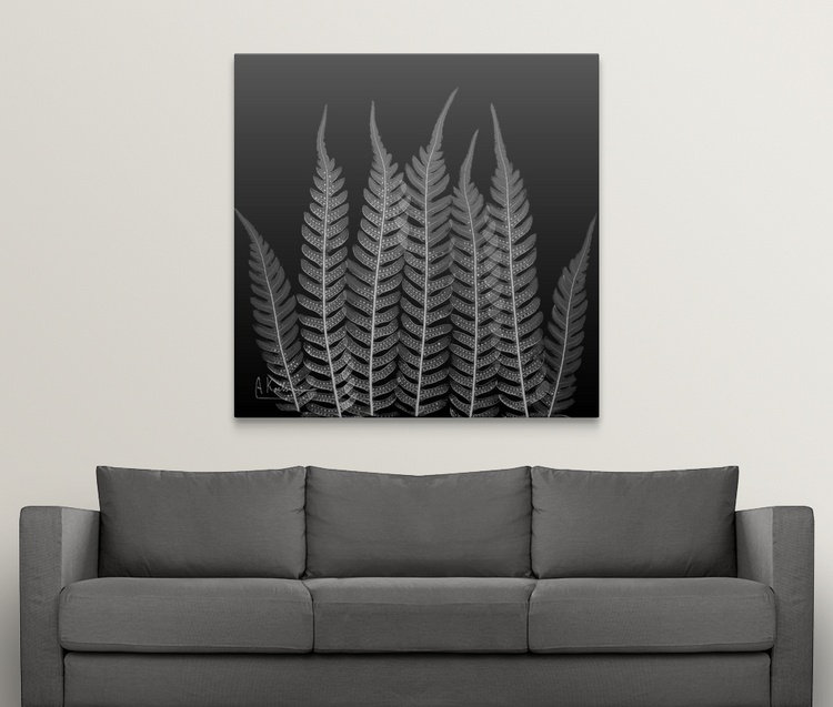 «Manigault» Fern Leaf X-Ray par Kiranjit, reproduction de photo, H 35 po x l 35 po x P 1,5 po, Toile