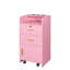 Armoire de rangement verrouillable