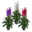 100cm Artificial Plant in Pot Liner-39150845