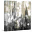 Parvez Taj - Wrapped Canvas Print-15885919