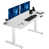Tableau blanc / blanc n'est pas disponible