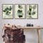 "Modern Forest Plant", ensemble de 3 impressions sur bois-62775090-62775089