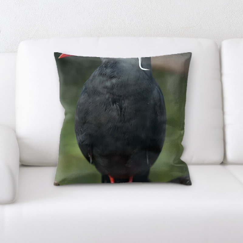 Coussin inca tern