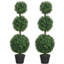 100 Plant