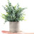 Kamira Faux Eucalyptus Plant-798696934