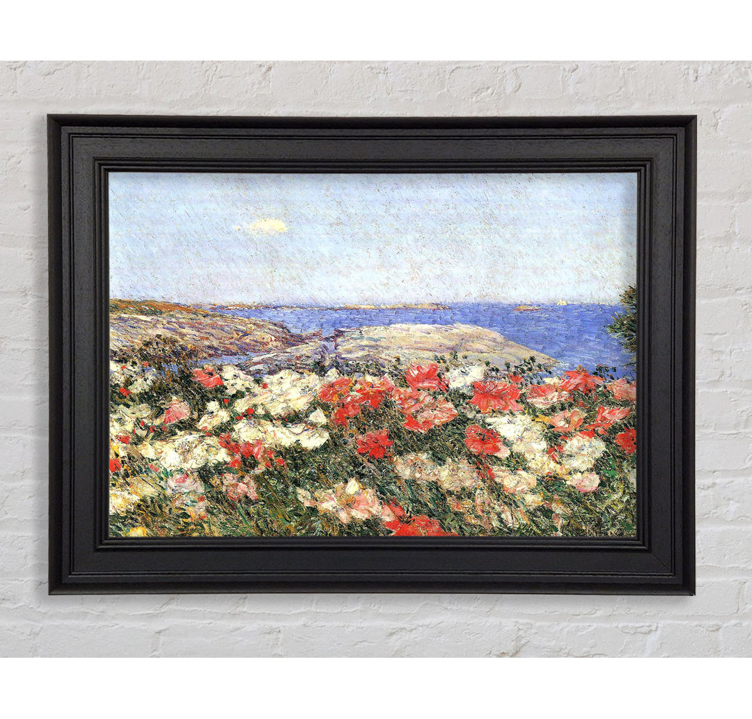 Hassam Mohnblumen auf den Isles Of Shoals Gerahmter Druck