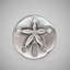 1 1/2" Sand Dollar Small Knob-39948843-128036967-128036968