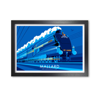 Mallard by Stephen Millership - Print