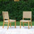 Parksley Teak Side Chair