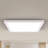 KODA 12" Square LED Ceiling Light (2-pack)