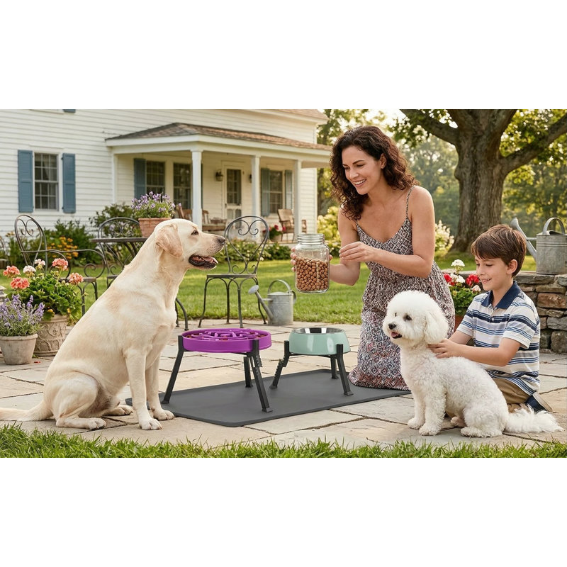 Support à bol pour chien à largeur ajustable pour chiens de 8,2 à 11 po, antidérapant, noir