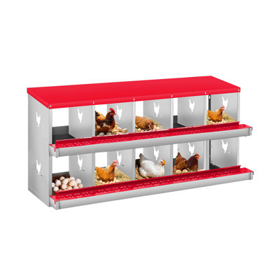 Nichoir à poules, nichoir en métal à 10 compartiments, nichoir mural pour poules pondeuses, ramassage facile des œufs, 10 nichoirs pour poules